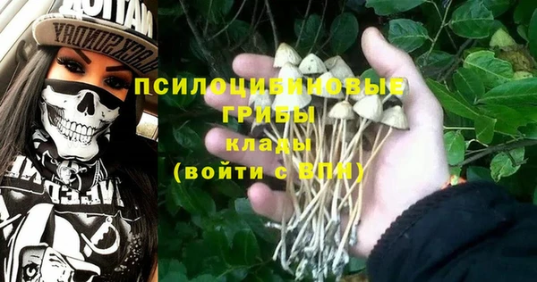 ПСИЛОЦИБИНОВЫЕ ГРИБЫ Лагань