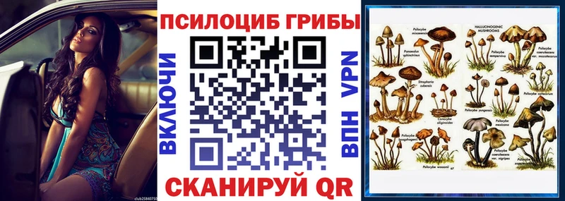 Псилоцибиновые грибы мицелий  Луза 